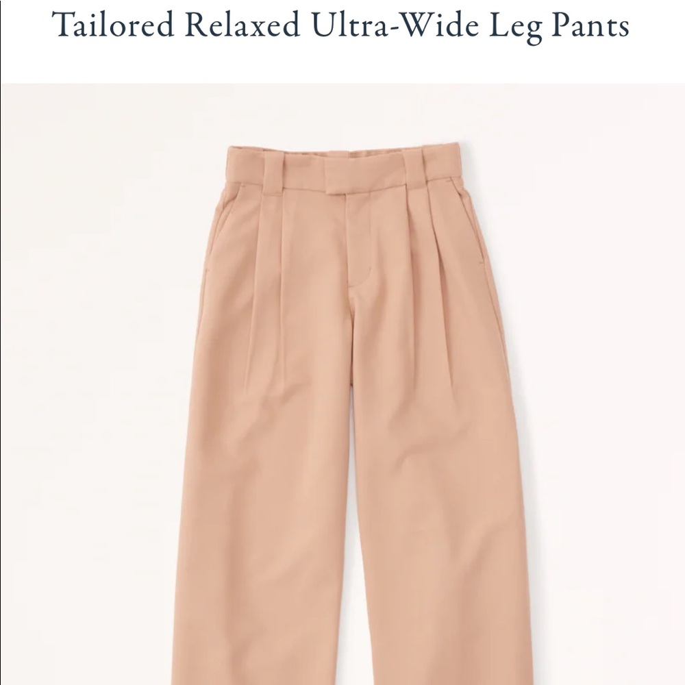 NWT Abercrombie & Fitch work pants! Size L. Never worn - tan